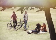 Чоловіки з велосипедами наближаються до жінок на ковдрі в парку — стокове фото