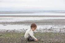 Fille ramasser des cailloux sur la plage — Photo de stock
