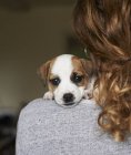 Close up portrait puppy over girl shoulder at home — Stock Photo