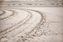 Tracks forming in sand on beach — Stock Photo