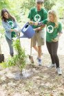 Волонтеры-экологи поливают недавно посаженное дерево — стоковое фото