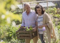 Smiling couple shopping for flowers in plant nursery garden — Stock Photo