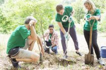 Добровольцы-экологи сажают новое дерево — стоковое фото