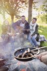 Friends with guitar cooking hot dogs over campfire — Stock Photo