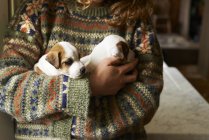 Girl in sweater holding puppies at home — Stock Photo