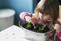 Curious girl touching sprouting flowers in flowerpot — Stock Photo