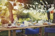 Garden party lunch under pennant flag — Stock Photo