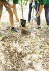Volontari ambientalisti piantare nuovi alberi — Foto stock