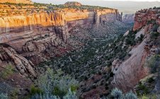 Canyon, colorado Nationaldenkmal, colorado, vereinigte Staaten — Stockfoto