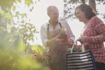 Nursery plant worker showing potted flowers to woman — Stock Photo