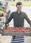 Ouvrier du marché agricole portant une caisse de fraises — Photo de stock