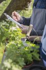 Close up plant nursery workers with clipboard and potted herbs — Stock Photo