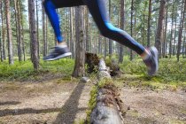 Runner jumping over fallen log on trail in woods — Stock Photo