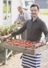 Portrait travailleur souriant de pépinière de plantes portant la caisse de fraises — Photo de stock