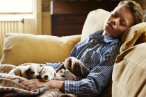 Menino e cachorros dormindo no sofá em casa — Fotografia de Stock