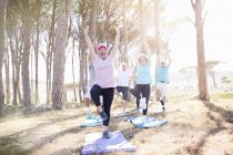 Літні люди практикують йогу в сонячному парку — стокове фото