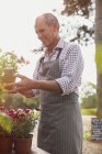Улыбающийся работник питомника с цветами в горшке — стоковое фото