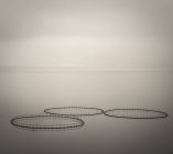 Рибальські сітки на поверхні води — стокове фото