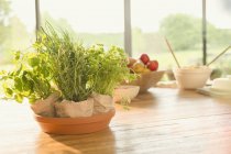 Fresh potted herbs on dining table — Stock Photo