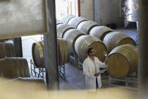 Винтнер в лабораторном халате изучает вино в винном погребе — стоковое фото