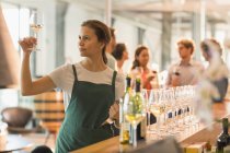Obrero de la sala de degustación de vino examinando vino blanco - foto de stock