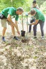 Volontari ambientalisti piantare nuovi alberi — Foto stock