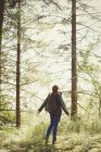Donna con zaino che guarda gli alberi nei boschi soleggiati — Foto stock