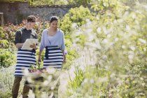 Gärtnerinnen mit Klemmbrett und Schubkarre im sonnigen Garten — Stockfoto
