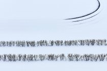 Ramas de invierno en el paisaje cubierto de nieve - foto de stock