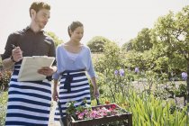 Работники питомников с планшетом и тачкой с цветами в солнечном саду — стоковое фото