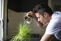 Человек на кухне, с помощью кувшина, полив растения — стоковое фото