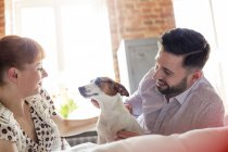 Couple petting Jack Russell Terrier dog on bed — Stock Photo