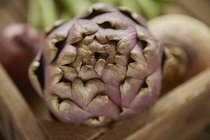Still life close up fresh, organic healthy purple artichoke — Stock Photo