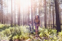 Молода пара з рюкзаками мандрує в сонячних лісах. — стокове фото