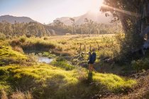 Junger Mann mit Rucksack wandert in sonnigem, abgelegenem Feld — Stockfoto