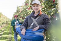 Портрет усміхненої жінки-фермерки, що збирає яблука в саду — стокове фото