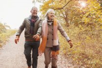 Sonriente pareja de ancianos tomados de la mano caminando por el camino en los bosques de otoño - foto de stock
