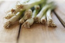 Bodegón primer plano fresco, orgánico, saludable, cebollas verdes y raíces de madera - foto de stock