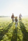 Retrato jovem família andar de bicicleta no ensolarado parque grama — Fotografia de Stock