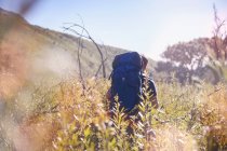 Junger Mann mit Rucksack wandert in sonnigem Feld — Stockfoto