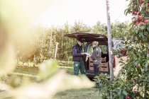 Фермер і клієнт позаду фургона в яблучному саду — стокове фото