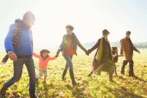 Родина тримає руки, ходячи в сонячному осінньому парку — стокове фото