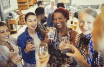 Mulheres amigas brindando vinho e copos de cerveja no bar — Fotografia de Stock