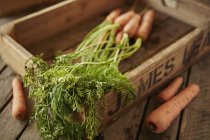Nature morte carottes fraîches, biologiques et saines avec des tiges dans une caisse en bois — Photo de stock