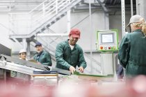 Trabajador sonriente en cinta transportadora en planta de procesamiento de alimentos - foto de stock