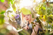 Chica curiosa jardinería, plantación de flores en jardín soleado - foto de stock