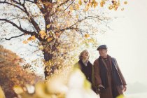Cariñosa pareja de ancianos tomados de la mano caminando en el soleado parque de otoño - foto de stock