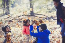 Pai brincalhão e filhas jogando folhas de outono em florestas ensolaradas — Fotografia de Stock