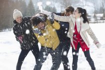 Amici godendo lotta con la palla di neve — Foto stock