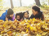Jovem família brincalhão que põe em folhas de outono em florestas ensolaradas — Fotografia de Stock